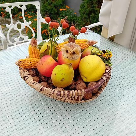 فندق Casa Continentelor كيمبولونغ المظهر الخارجي الصورة